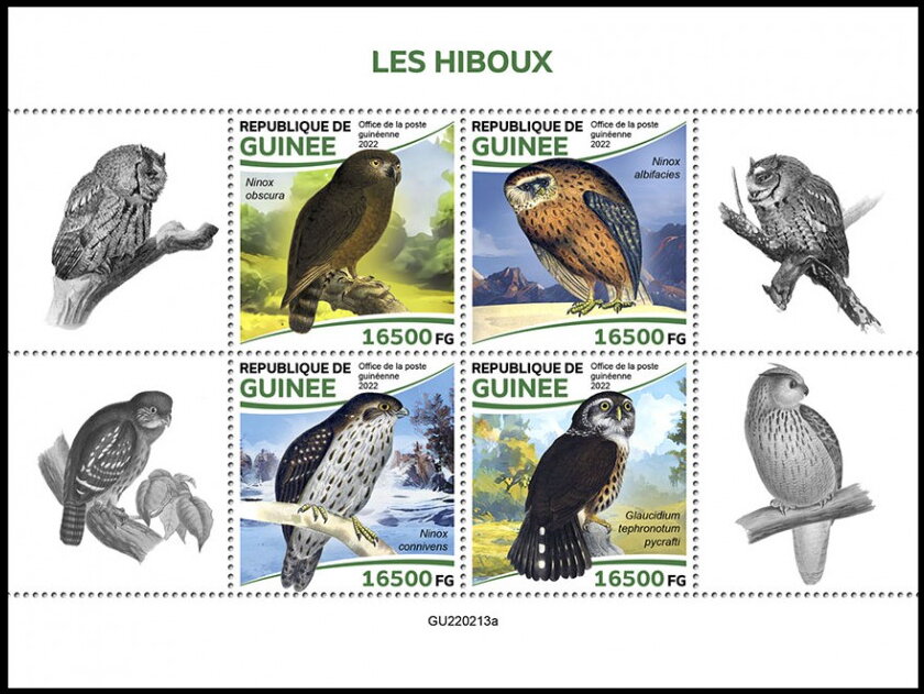 Owls