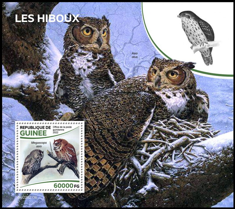 Owls