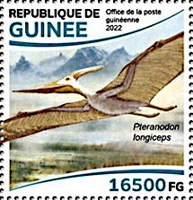 Pteranodon longiceps