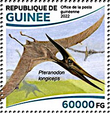 Pteranodon longiceps