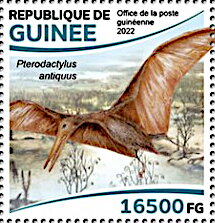 Pterodactylus antiquus
