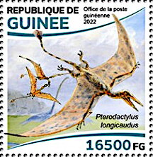 Pterodactylus longicaudus