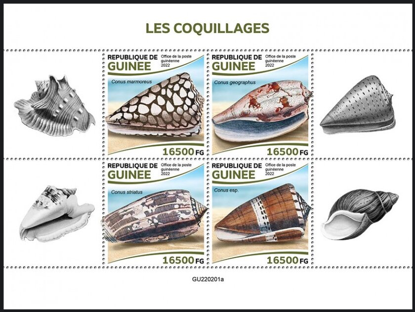 Shells