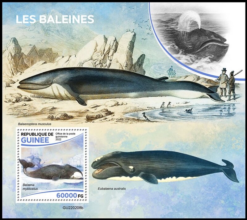 Whales