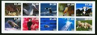 Animal Series Booklet