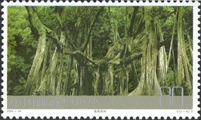 Frontier Scenes of China