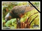 Stamp, Kaka, Stewart Island - Large Format, Personalized and Private Mail Stamps,  , Animals (Fauna), Birds, Parrots