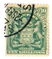 Elephant In Shield