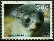 New Zealand Fur Seal, Dunedin