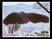 Stamp, Sperm Whale - Mountains in Background, Personalized and Private Mail Stamps,  , Animals (Fauna), Mountains, Sea (Marine) Mammals, Whales