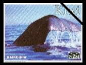 Stamp, Sperm Whale - Sky in Background, Personalized and Private Mail Stamps,  , Animals (Fauna), Sea (Marine) Mammals, Whales