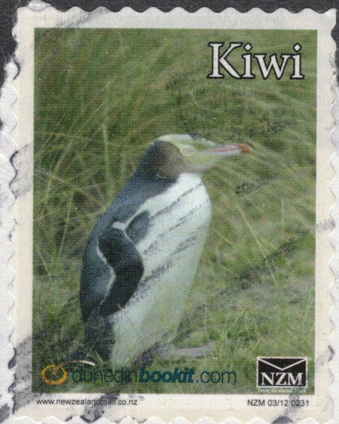 Yellow Eyed Penguin, Hoiho - Large Format