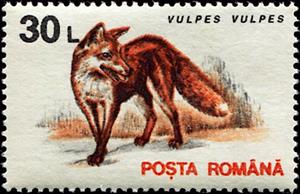 Stamp, Red Fox (Vulpes vulpes), Romania,  , Animals (Fauna), Foxes, Mammals