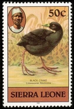 Black Crake (Limnocorax flavirostra); 1981 imprint