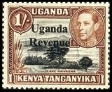 Lake Naivasha