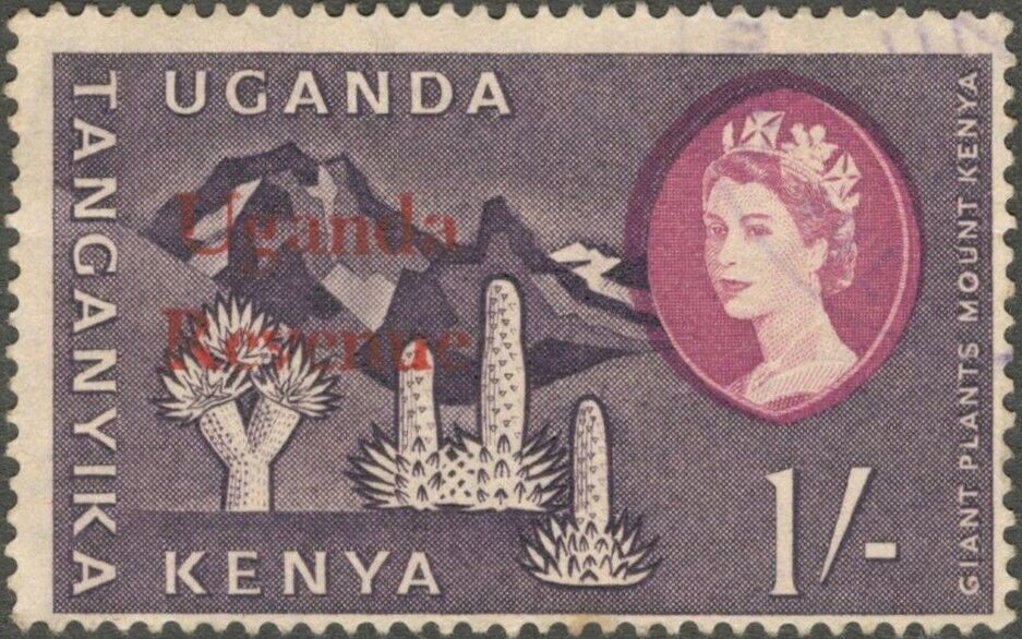 Mt. Kenya and giant plants