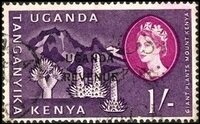 Mt. Kenya and giant plants
