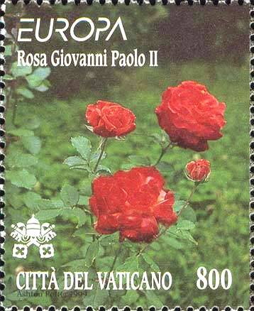Rose John Paul II