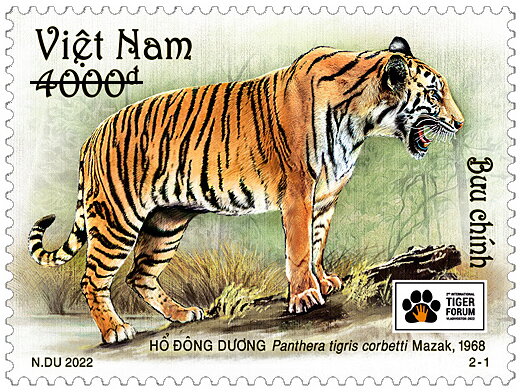 II International Tiger Forum, Vladivostok, Russia