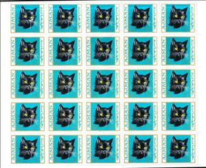 Full Pane, Domestic Cat (Felis silvestris catus), Ajman,  , Animals (Fauna), Cats, Mammals