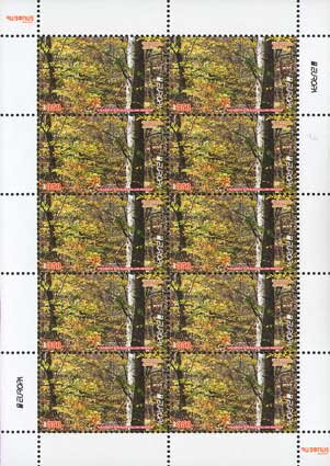 Dilijan Forest - Autumn Deciduous Forest