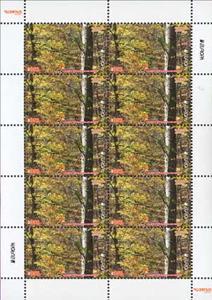 Full Pane, Dilijan Forest - Autumn Deciduous Forest, Armenia,  , C.E.P.T. / Europe, Forests, Landscapes, Plants (Flora), Trees