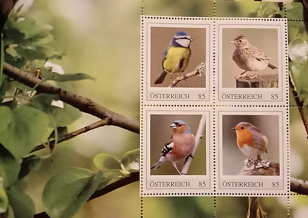 Songbirds