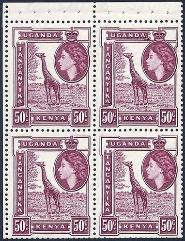 Giraffe (Giraffa camelopardalis)