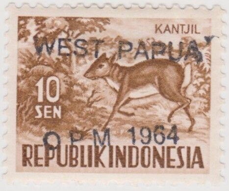 Lesser Malay Chevrotain (Kantjil)