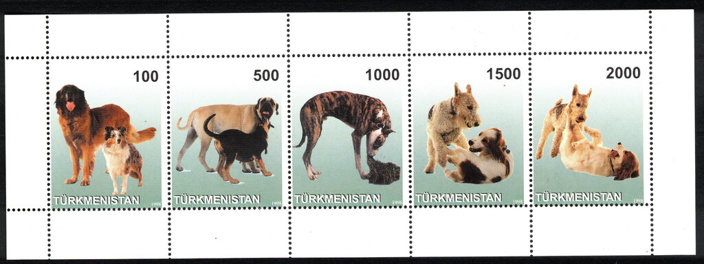 Dogs