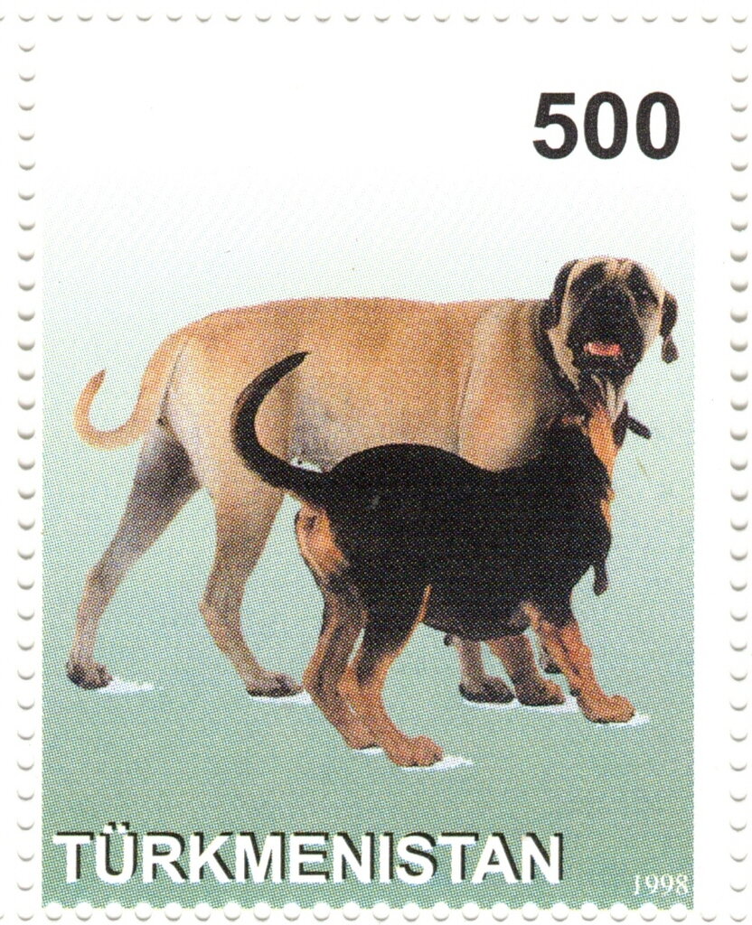 Dogs