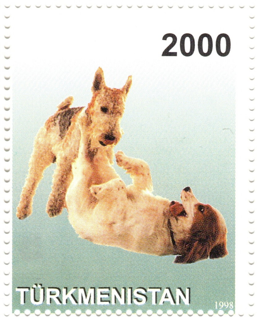 Dogs