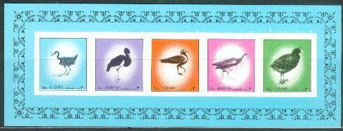 Birds