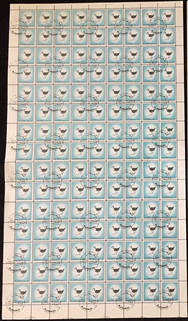 Birds