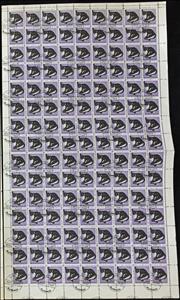 Full Pane, Birds, Ajman,  , Animals (Fauna), Mammals, Monkeys