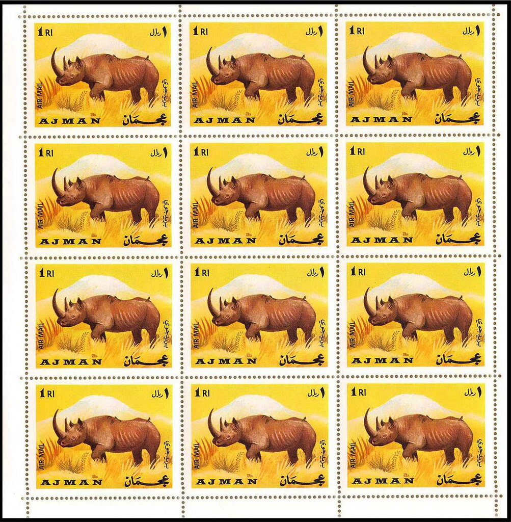 Black Rhinoceros (Diceros bicornis)