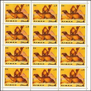 Full Pane, Dromedary (Camelus dromedarius), Ajman,  , Animals (Fauna), Camels, Mammals
