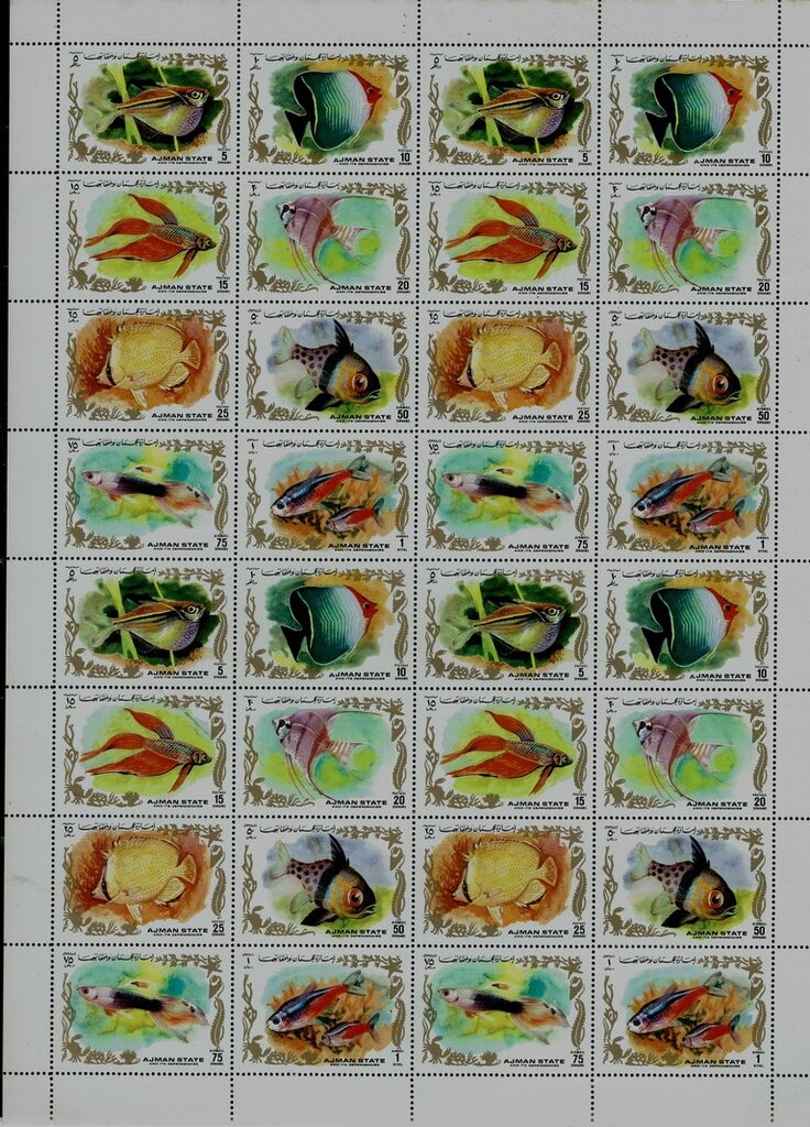 Tropical Fishes