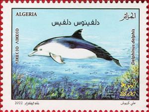 Stamp, Common Dolphin (Delphinus delphis), Algeria,  , Animals (Fauna), Dolphins, Sea Life