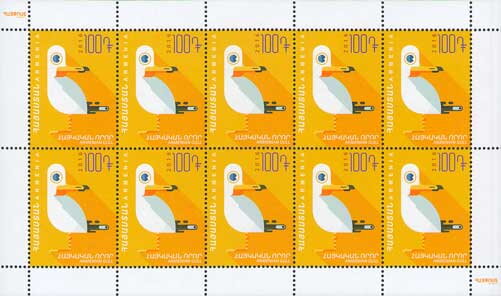 Armenian Gull (Larus armenicus)