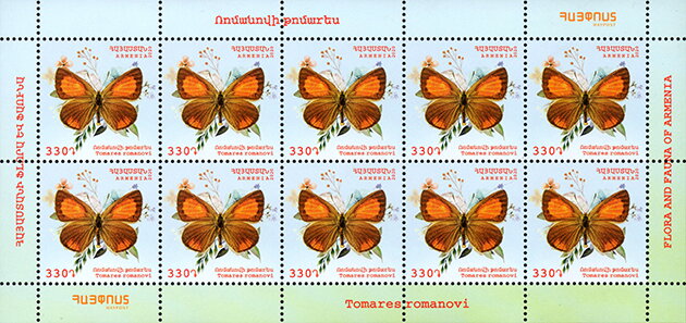 Romanoff's Hairstreak (Tomares romanovi)