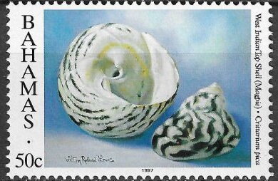 Stamp, West Indian Top Shell (Cittarium pica), Bahamas,  , Shells