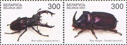 Fauna of Belarus - Beetles (2001)