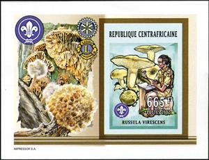 Souvenir Sheet, Russula virescens., Central African Republic,  , Mushrooms, Scouting