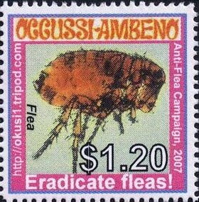 Stamp, Flea Eradication Campaign, Cinderellas,  , Insects