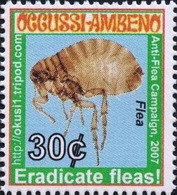 Flea Eradication Campaign