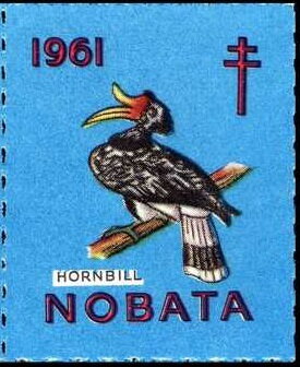 Hornbill