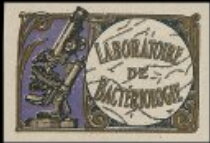 Laboratory Bacteriology