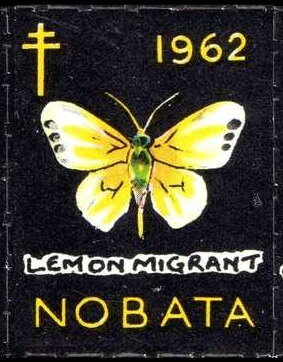 Lemon migrant (Catopsilia pomona)