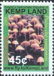Mushrooms